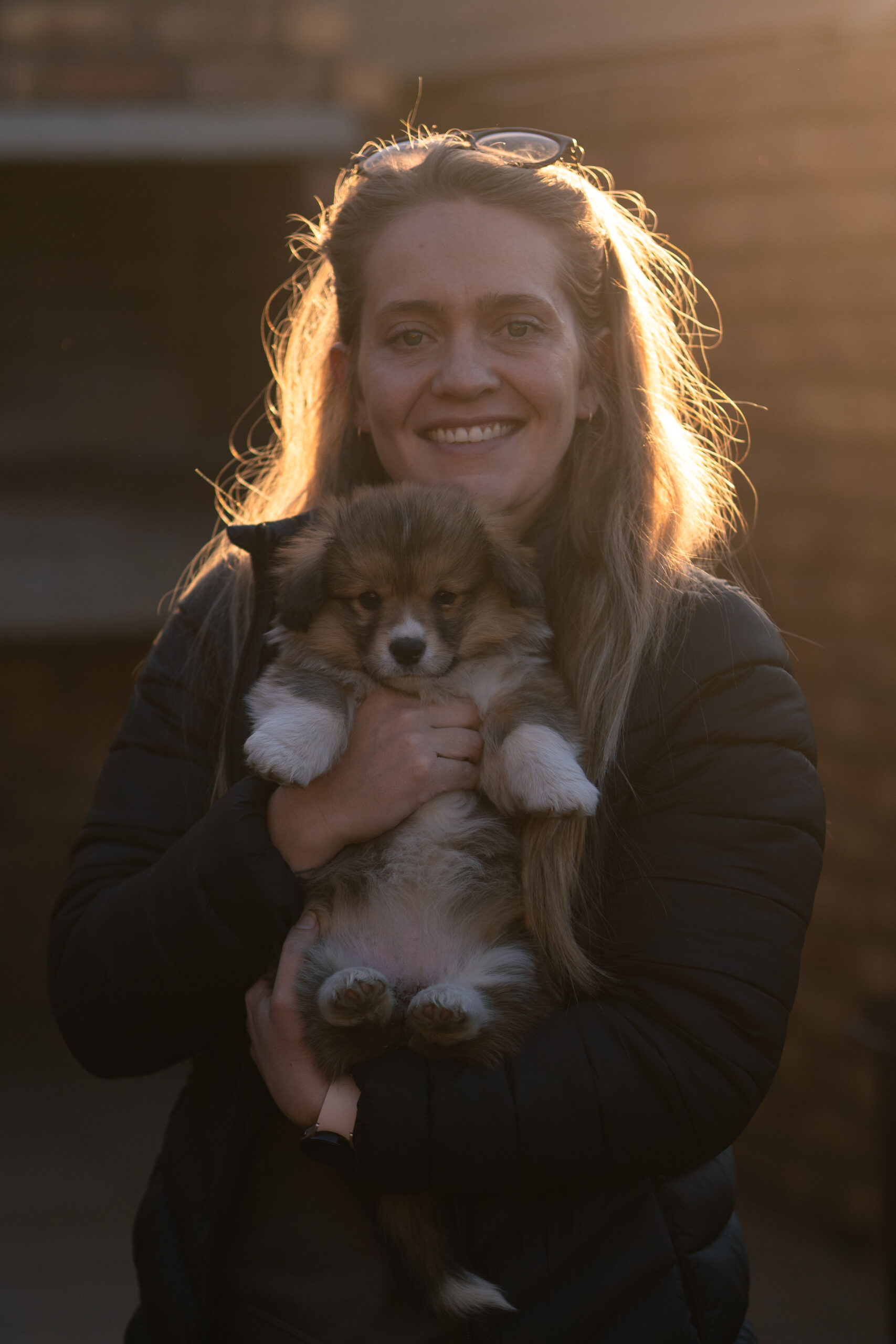 Pet Photographer in Gauteng
