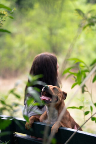 Pet photography session in Gauteng CapturedbyCarla