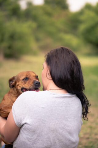 Pet photography session in Gauteng CapturedbyCarla